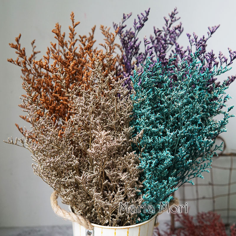 70g/Herbe de la Saint-Valentin - Dried Flower Bulk avis et prix