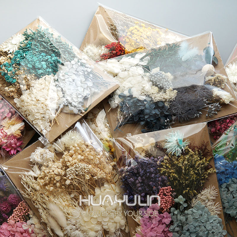 1 paquet de plantes artificiel - Dried Flower Bulk avis et prix