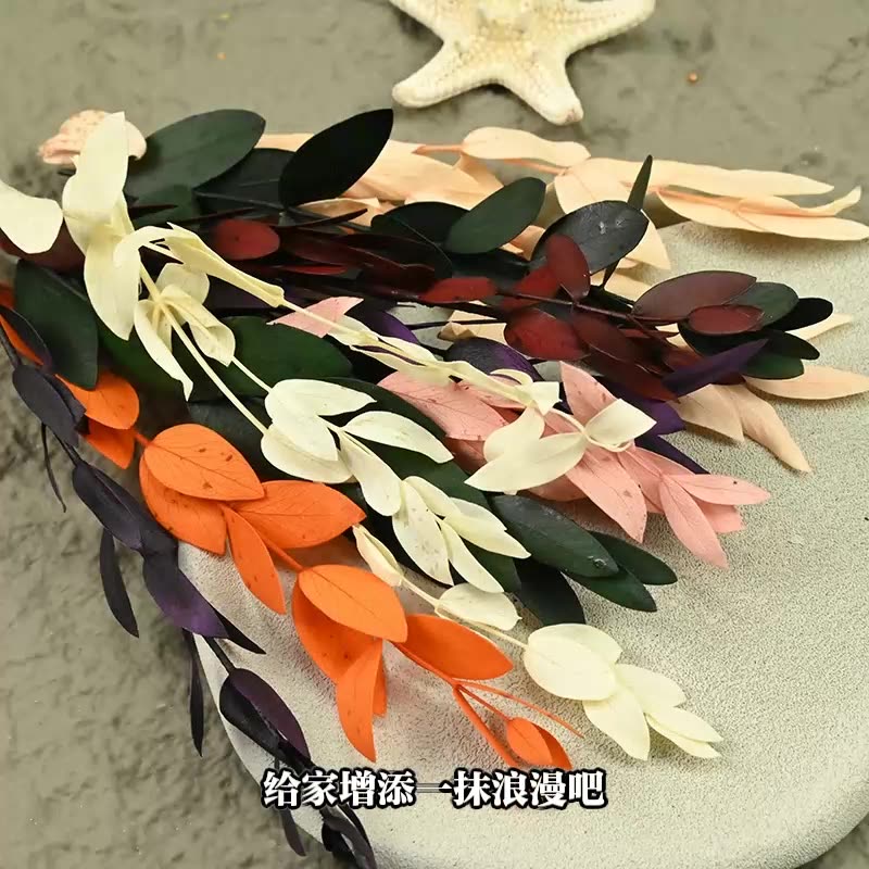 Fleurs séchées conservées pour - Flower Preservation Resin avis et prix